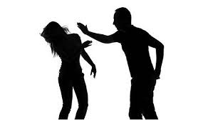 ಕೇರಳ : ಇಬ್ಬರು ಮಹಿಳಾ ಜನಗಣತಿ ಅಧಿಕಾರಿಗಳ ಮೇಲೆ ದಾಳಿ